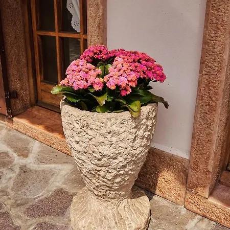 Ad Sidera Oda ve Kahvaltı 3*